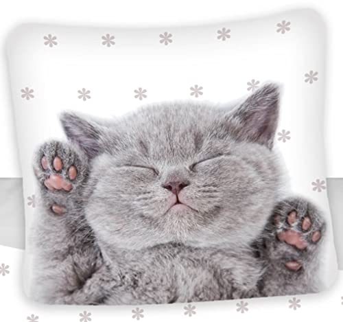 Carbotex Katze Wende-Bettwäsche-Set 135x200 Baumwolle Kätzchen Kinderbettwäsche Kater Kitten